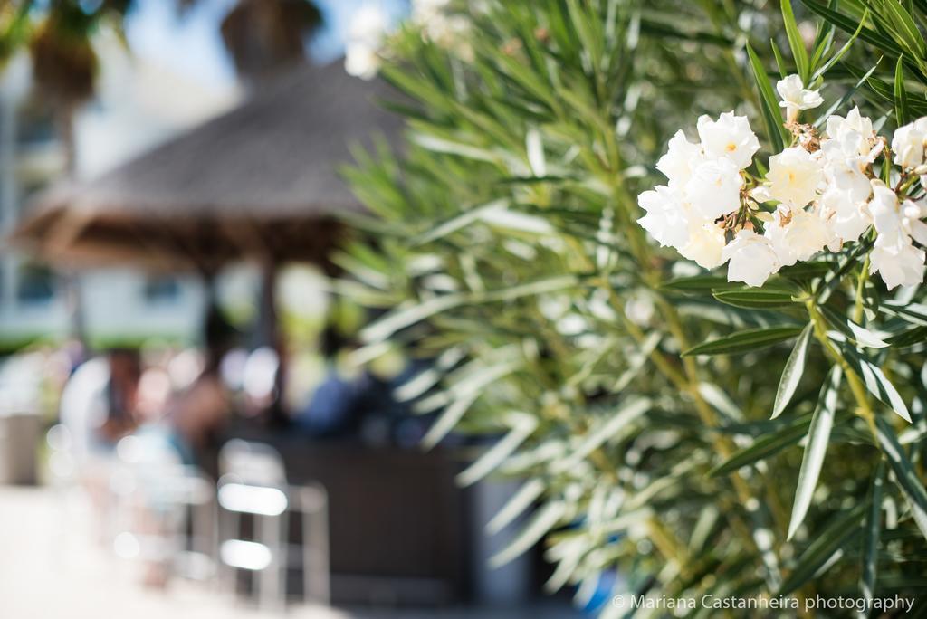 Yellow Alvor Garden Exterior photo
